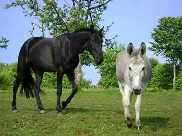 L'insiniere Prázdninový dům